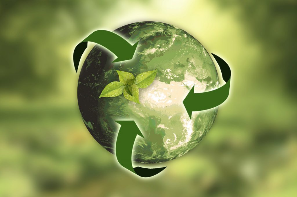 Qué es la conciencia ecológica