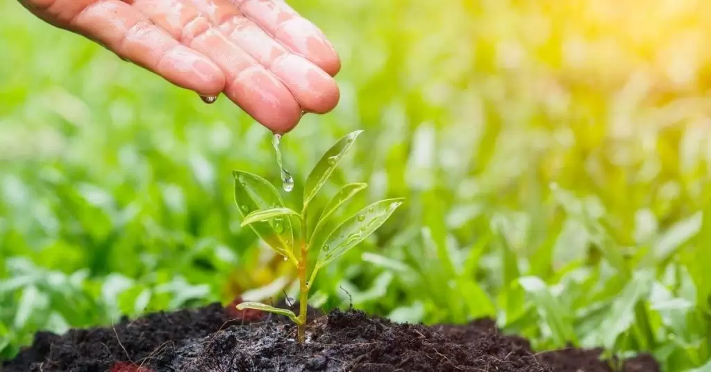 15 successful sustainable enterprises