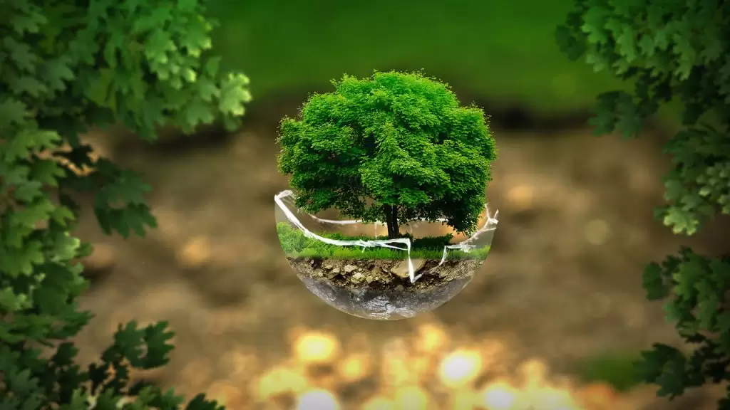 Actividades ecológicas para la escuela