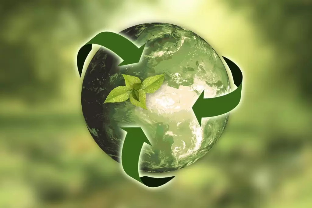 Qué es la conciencia ecológica