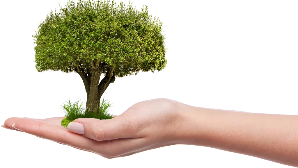 Qué es la conciencia ecológica