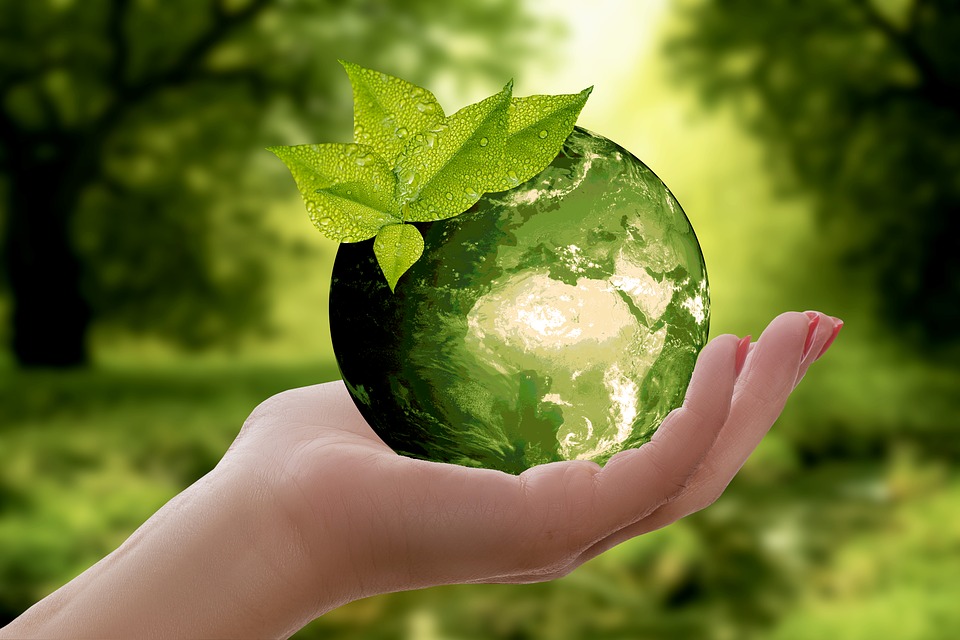 Decoración ecológica