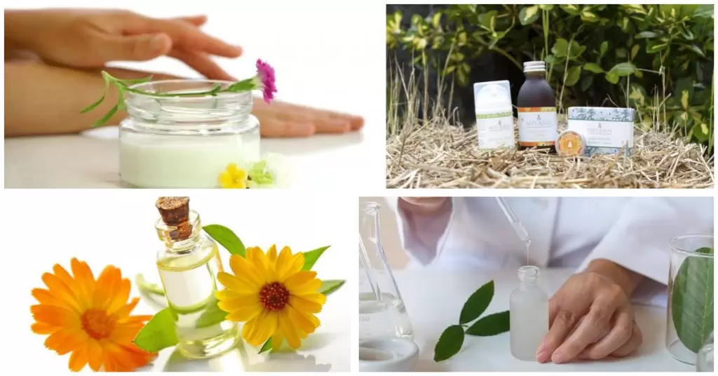 Caratteristiche principali dell'ecocosmesi