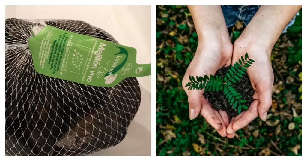Qué es el certificado ecológico