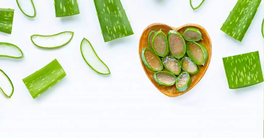 Aloe vera: dosis recomendadas