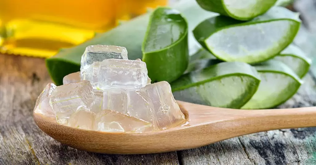 Aloe vera: propiedades y usos