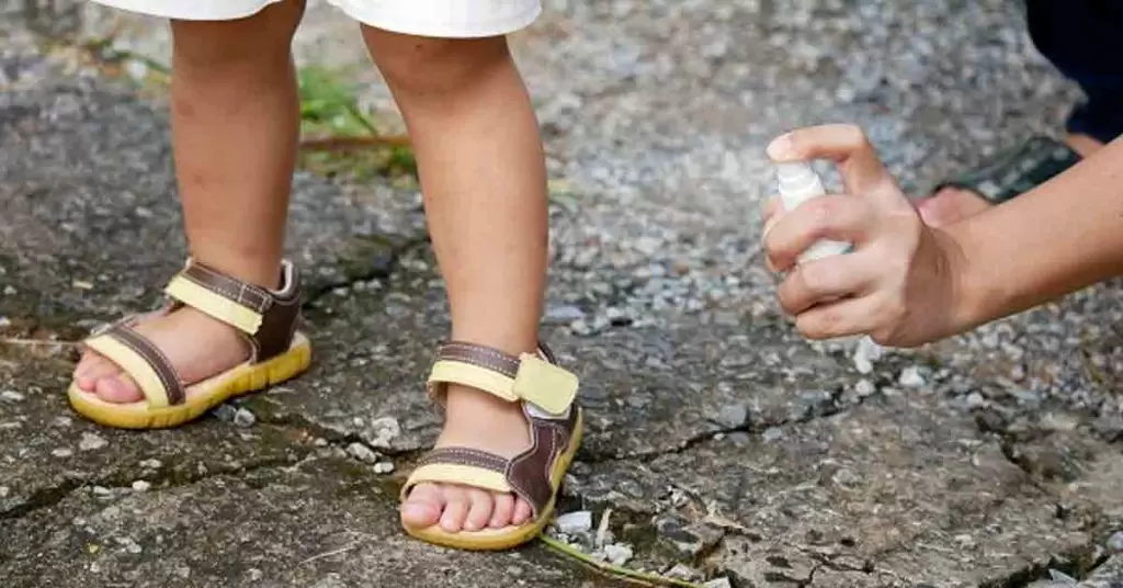 Clásicos remedios caseros para que no te piquen los mosquitos