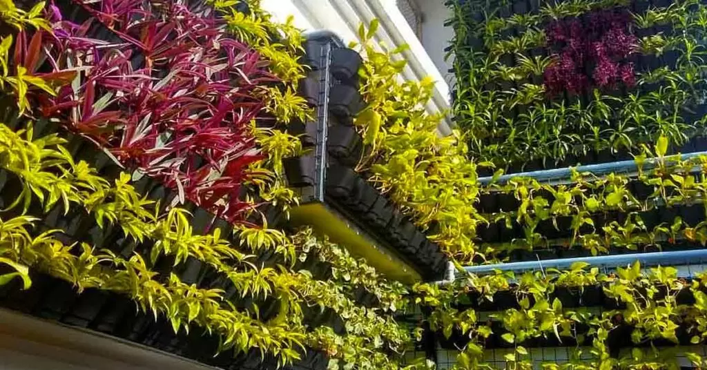 Conoce todo sobre el huerto vertical