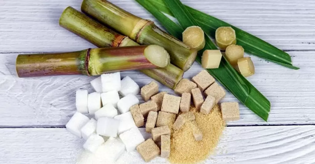 ¿Cómo se almacena la caña de azúcar?