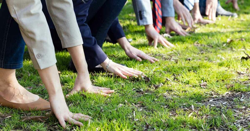Cómo y dónde encontrar empleos verdes