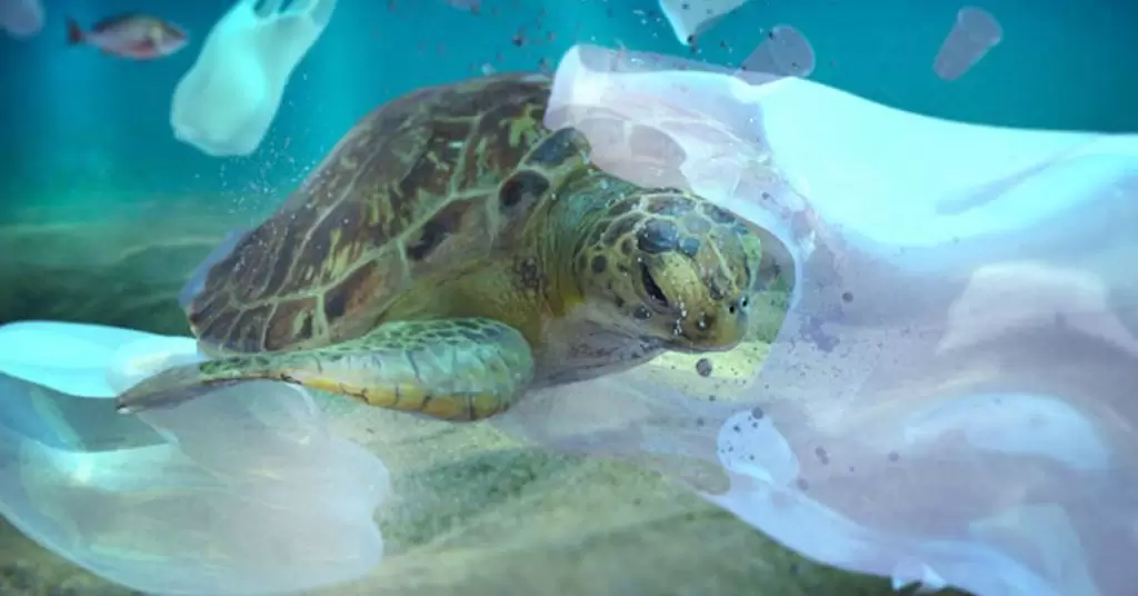 Efectos desastrosos de las islas de plástico