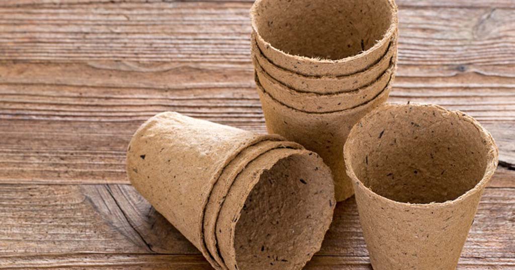 Compostable packaging, the most sustainable delivery option