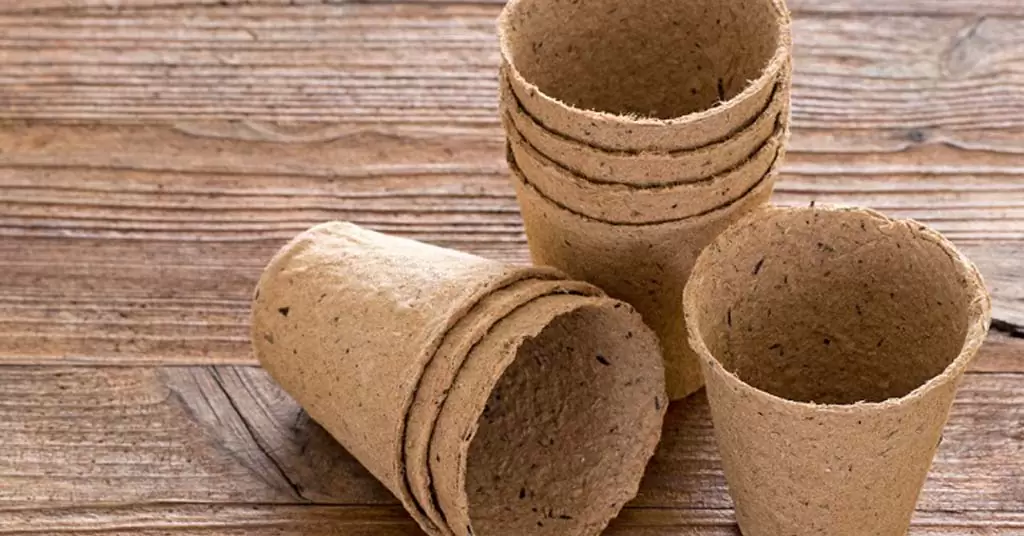 Compostable packaging, the most sustainable delivery option