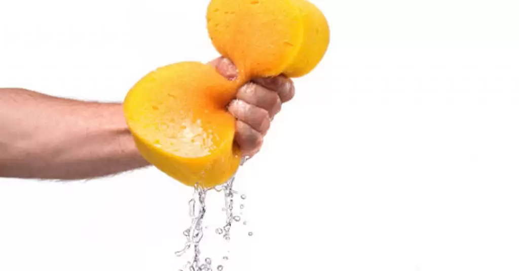 Esponja o paño súper absorbente