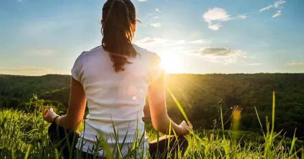 Inicios del movimiento slow life