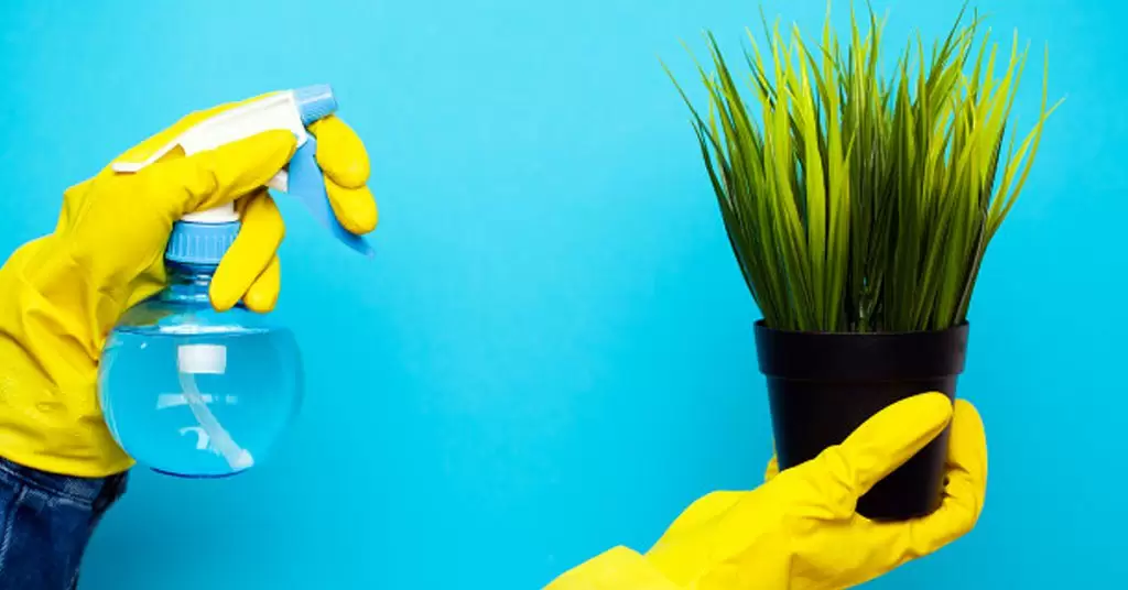 Métodos caseros para regar las plantas en vacaciones