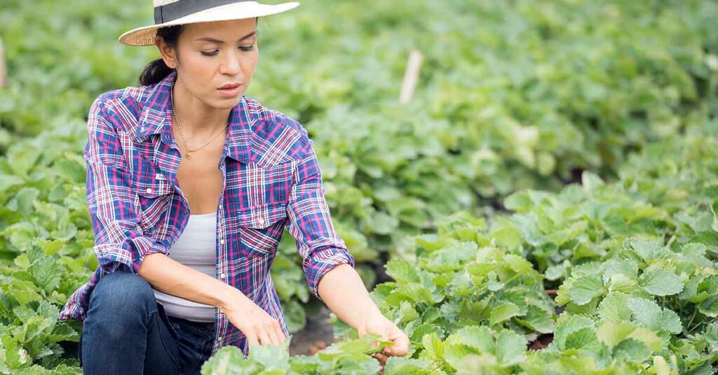 Nuevos empleos verdes ¿Qué son?