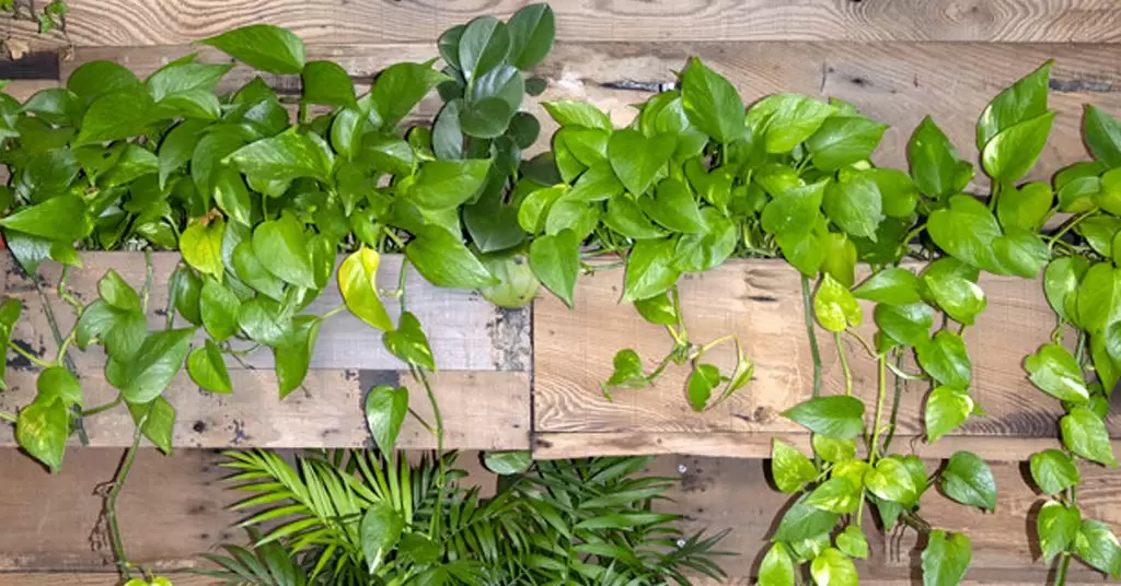 Otra forma de reciclar un palet: ¡Jardín de letras!