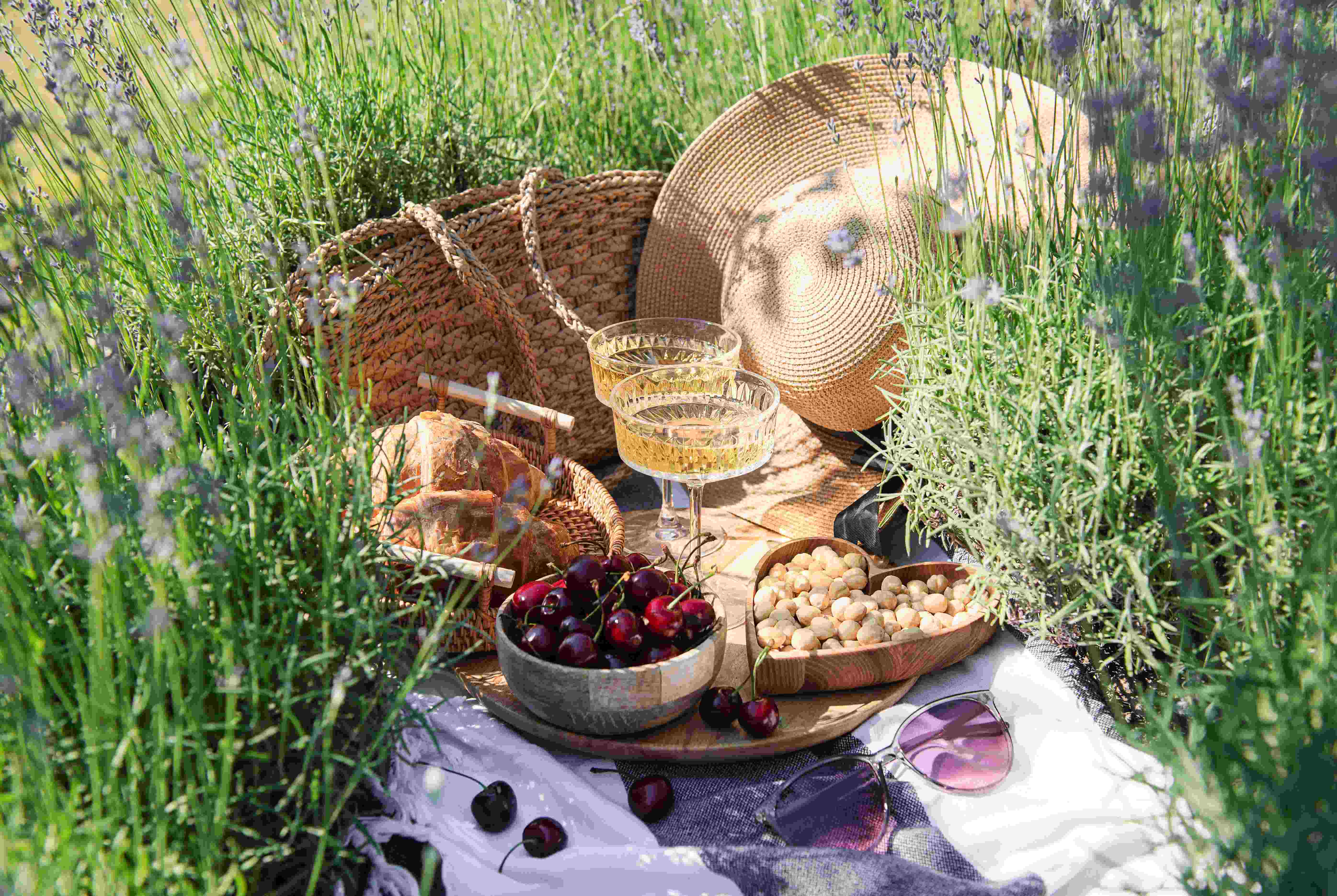 picnic sostenible