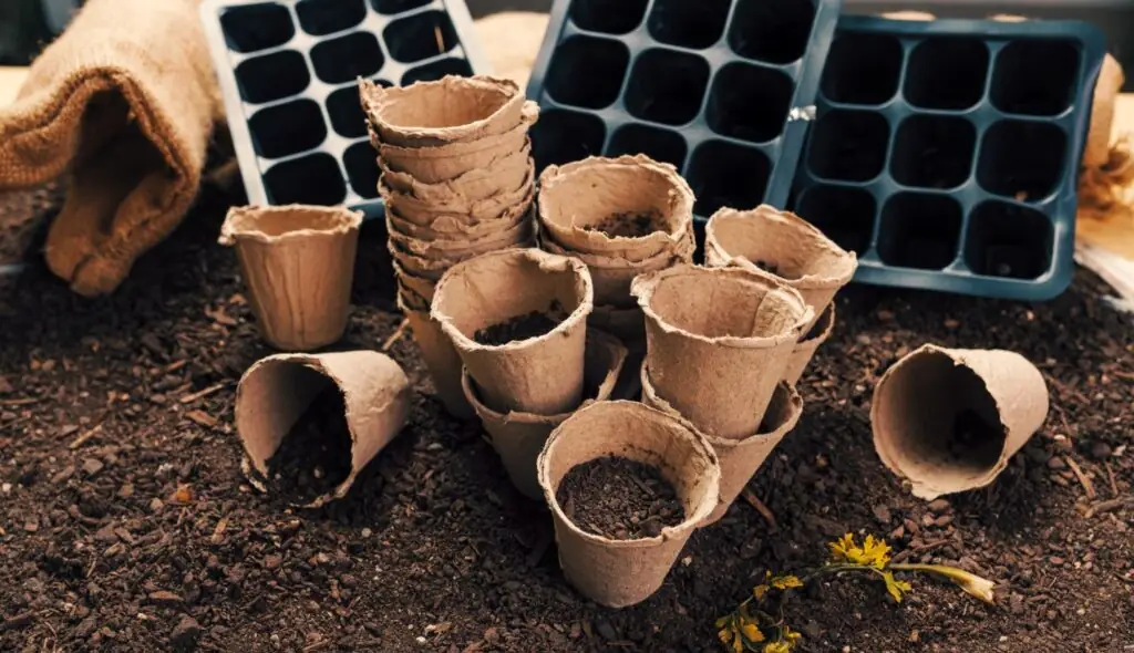 Vantagens e benefícios de escolher produtos biodegradáveis