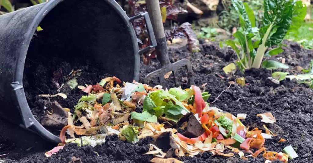Recicla esos neumáticos viejos