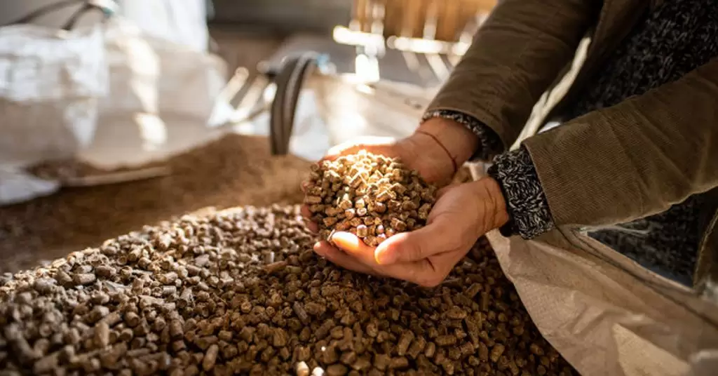 Tipos de estufas de pellets