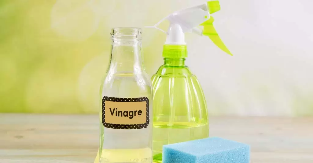 Vinagre-blanco-para-limpieza-del-hogar-cuerpo