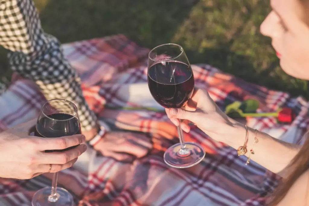 picnic que llevar