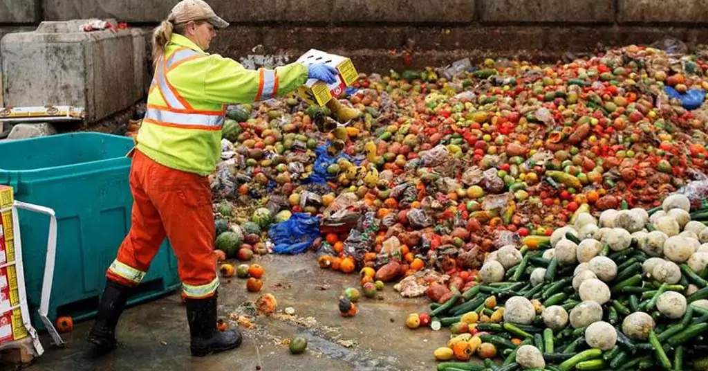 como disminuir desperdicio alimentario