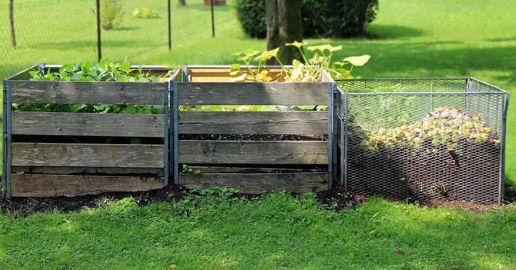 cómo-hacer-compost-casero-cuerpo