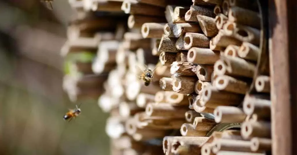 hotel para abejas