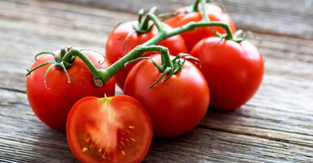 cultivar tomates cherry