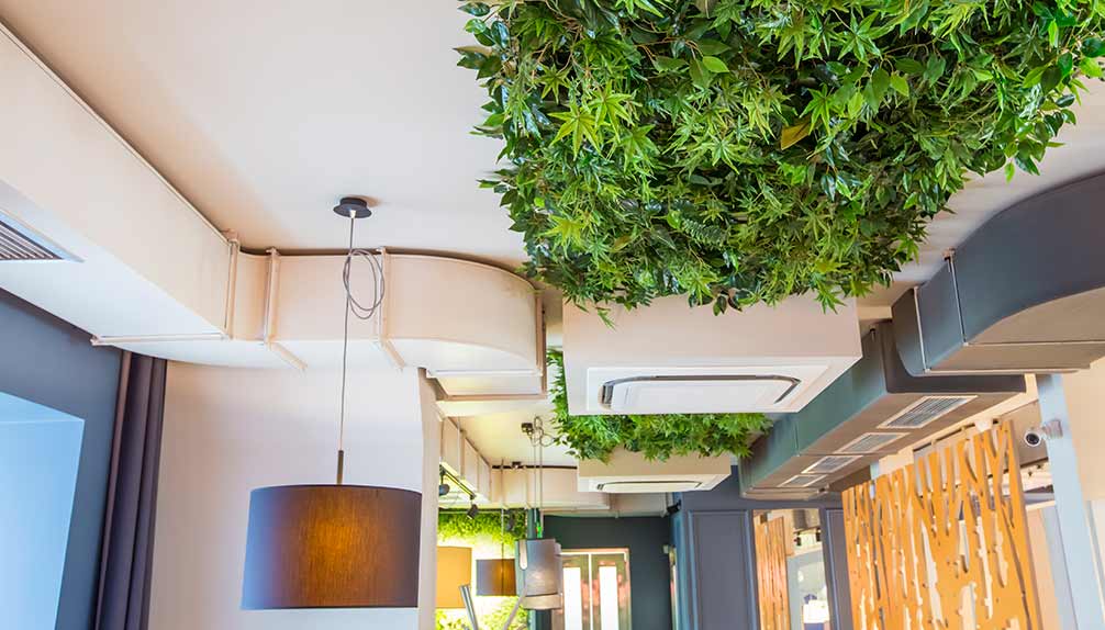 Eco decoratie in restaurants