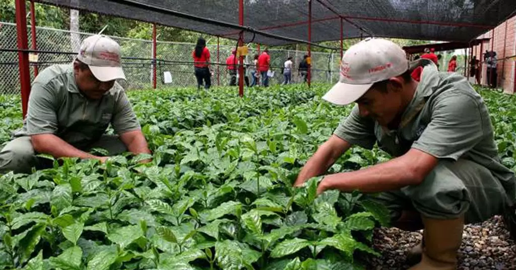 agricultura ecológica y agroecología