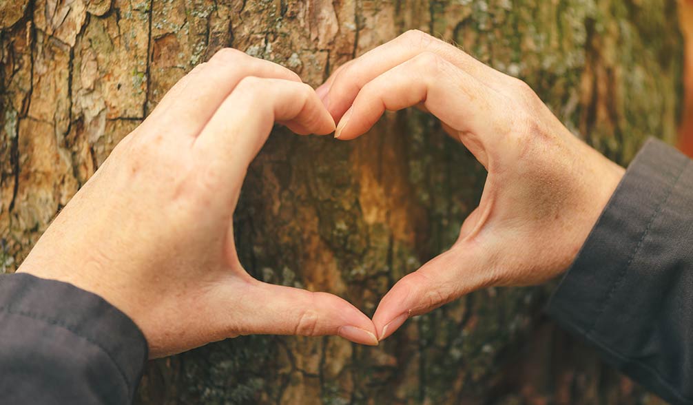 Ecologie en liefde voor het milieu