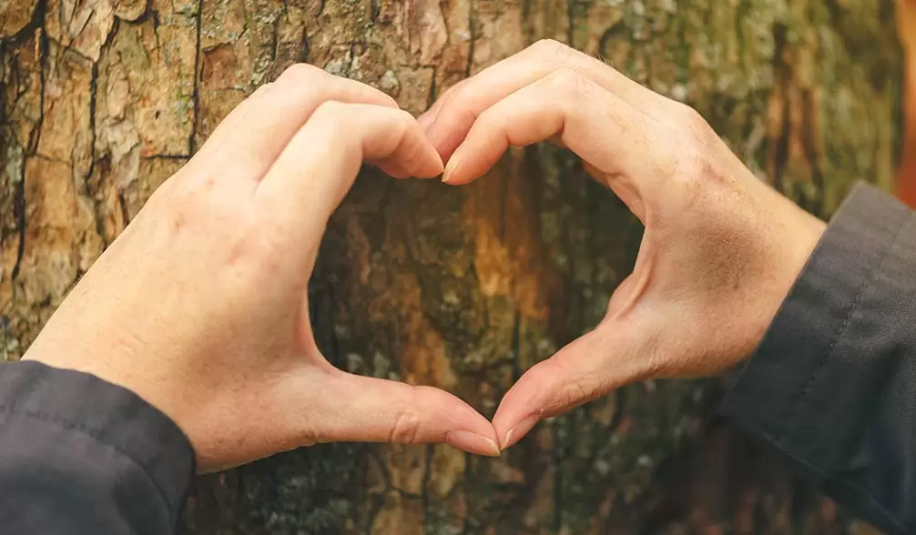 Einsatz für die Ökologie und Liebe zur Umwelt