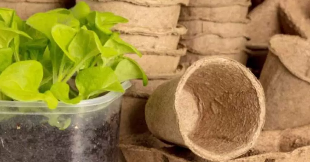 Biodegradable or compostable: learn how to differentiate packaging degradability