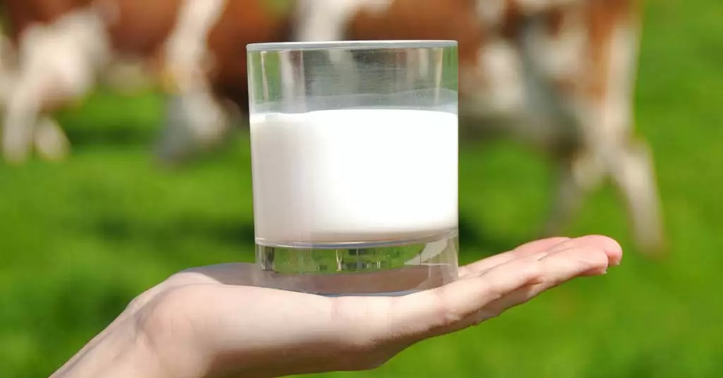 leche ecologica