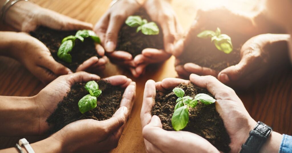 Estrategias para reducir la huella de carbono