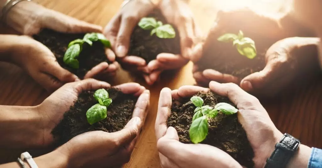 Estrategias para reducir la huella de carbono