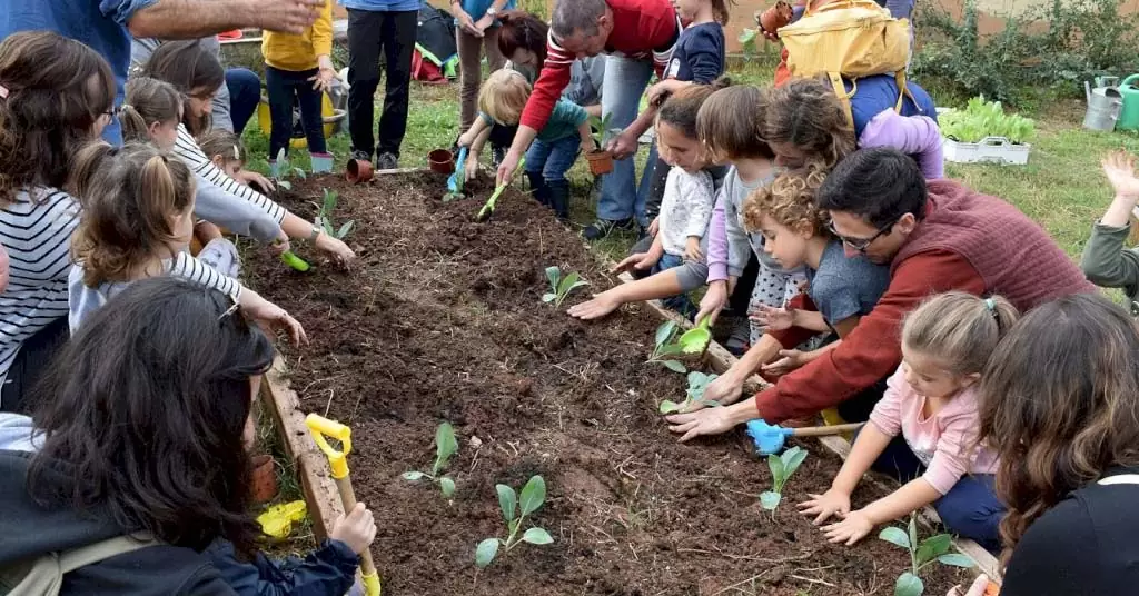 evitar desperdicio alimentario en colegios