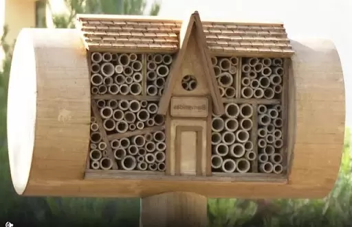 hotel-insectos-cuerpo