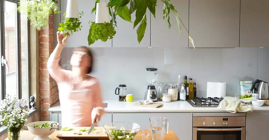 huerto urbano en la cocina