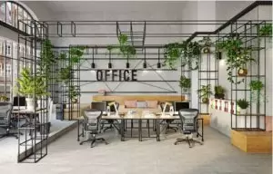 ideas oficinas ecológicas