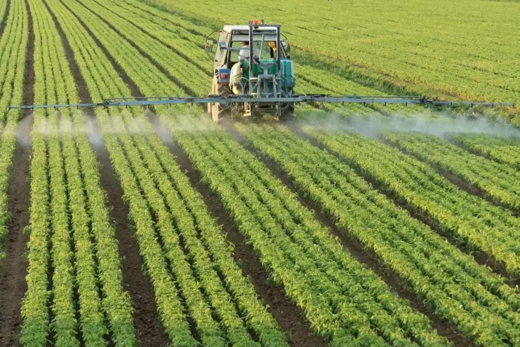 Pesticidas en alimentos