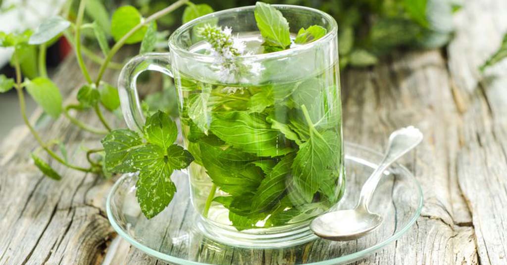 te detox