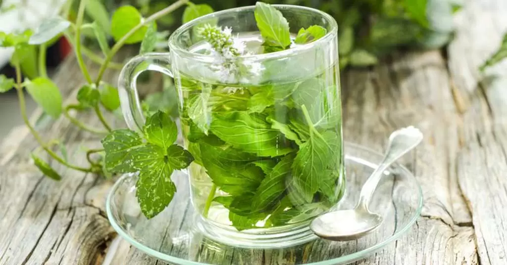 te detox
