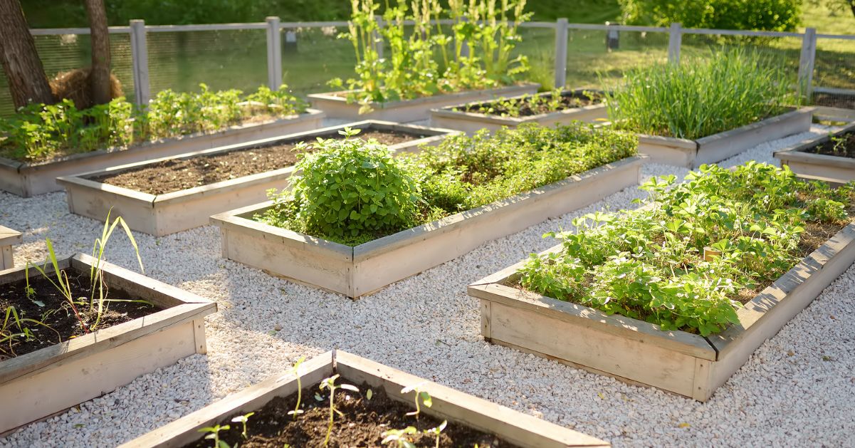 Integración de huertos urbanos en restaurantes 🌱 Greenuso