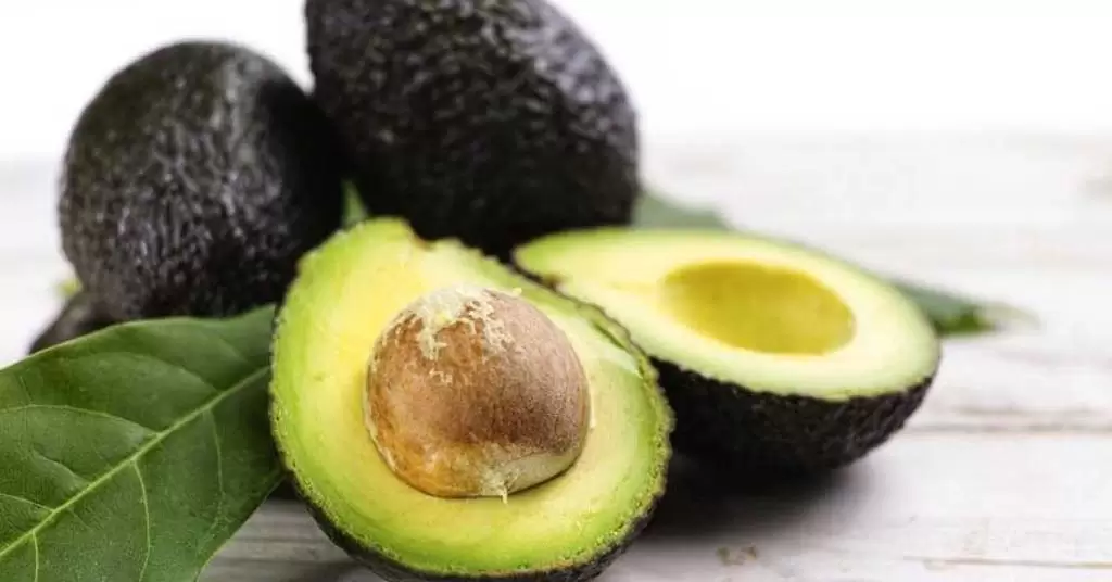 germinar un hueso de aguacate