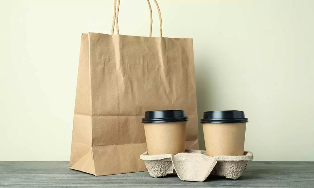 Sustainable packaging for delivery